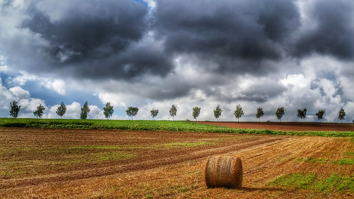 autumn trees storm fall day harvest agriculture baleofstraw