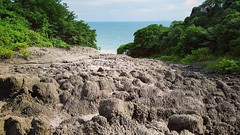 Mud volcano at Palo Seco Beach, south Trinidad  #river #rock #coconut #coconuttree #driftwood #fishing #trinidadandtobago #gotrinbago #ttunseen #natgeoyourshot #photography #photo #naturephotography #nature #natgeoit #pebbles #sand #mud #mudvolcano #volca
