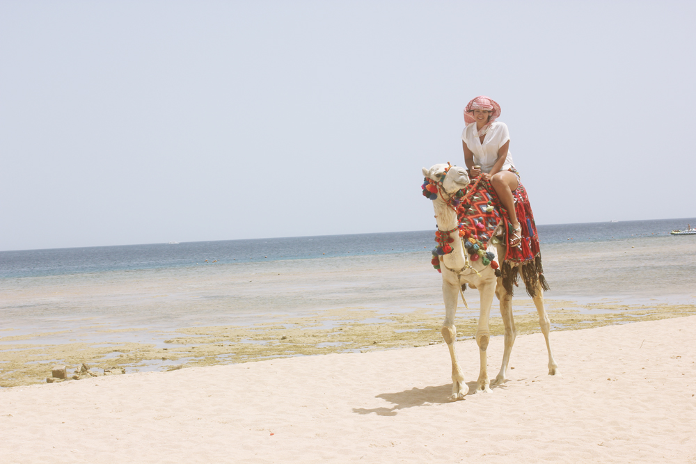 Casanova camel Facebook egypt sensatori sharm el sheikh laila arab bedouin arabic arabia travelling on a camel