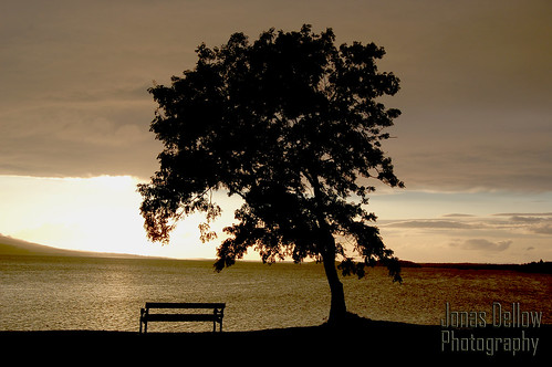 sunset lake tree silhouette bench lough melvin jonasdellowphotography