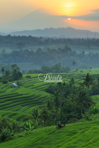 bali black sunrise indonesia photography tour card guide ricefield jatiluwih baliphotography balitravelphotography baliphotographytour baliphotographyguide