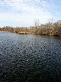 Lunchtime Walk at Gallup Park