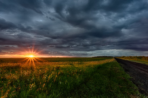 sunset manitoba fields prairie