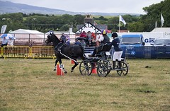 Southern agricultural show 2014 - Sunday (100)