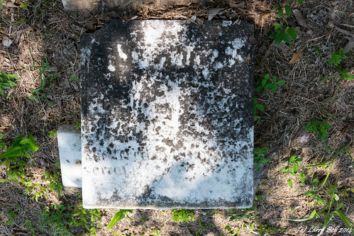cemetery unitedstates alabama larrybell choctawcounty pinegrovecemetery gilbertown larebel larebell