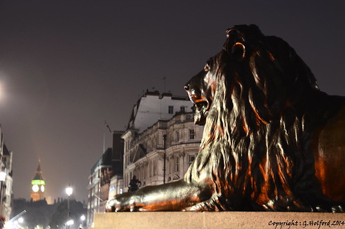 city uk england london statue night nikon trafalgarsquare bigben lions d5100