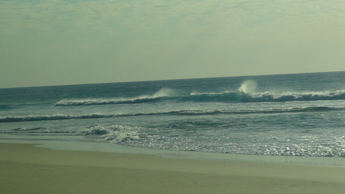 DSC08629.JPG
