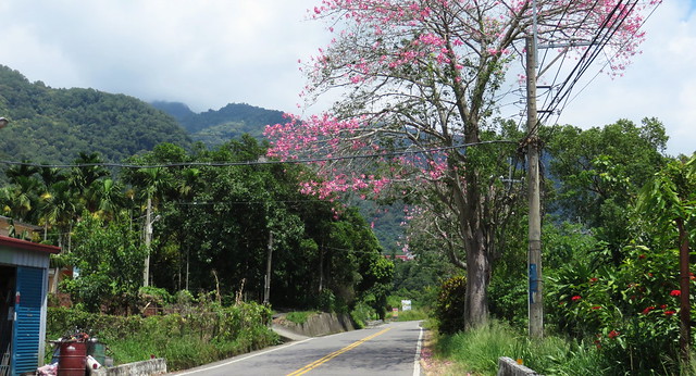 Provincial Highway 20 (Laonong)
