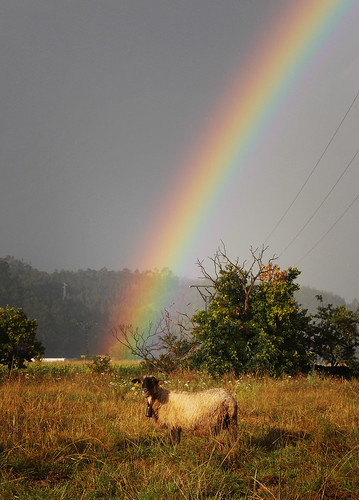 sky españa rain arcoiris clouds lluvia rainbow spain sheep cloudy meadow cielo nubes arcoíris prado cantabria ovejas