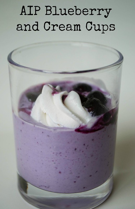 COMFORT BITES BLOG: AIP Blueberry Cream Cups
