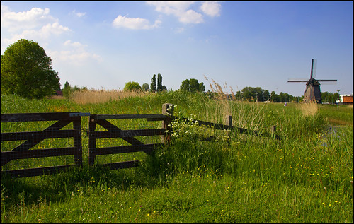 holland green mill nature windmill grass fence landscape sunny canoneos hff northholland oudorp