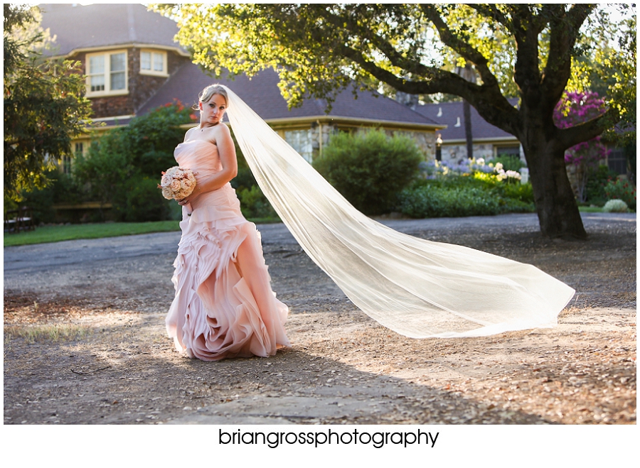 Brandi_Will_Preview_BrianGrossPhotography-205