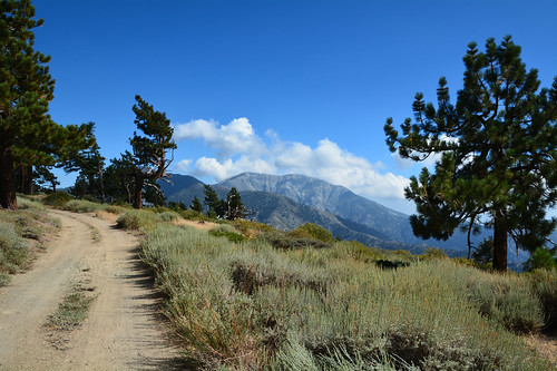 california road blue vacation mountains gabriel wrightwood forest nikon san angeles ridge national d7100 nf3n06