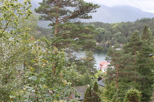sea norway landscape valley vindafjord sandeidfjord