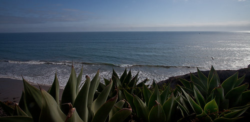 ocean california sun beach waves pismobeach
