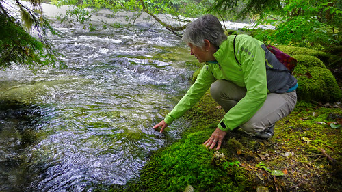 tricia water Washington Cascades 2014_0140