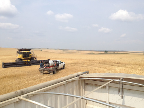 Z Crew: Grain truck view