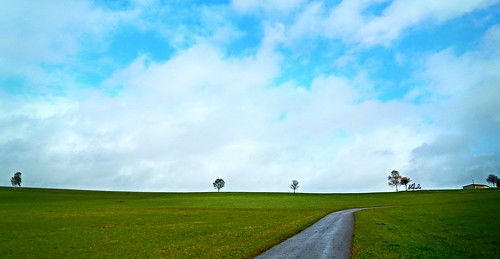 road wood blue sky holiday verde green grass clouds forest germany blu country german prato blackforest germania