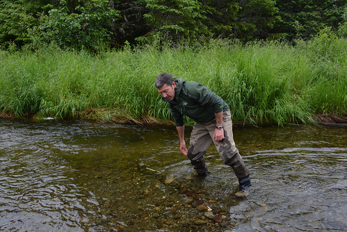 Pete Schneider, fisheries biologist at the Tongass National Forest, conceals the conduit leading to the Steep Creek salmon cam with rocks. (U.S. Forest Service/Teresa Haugh)