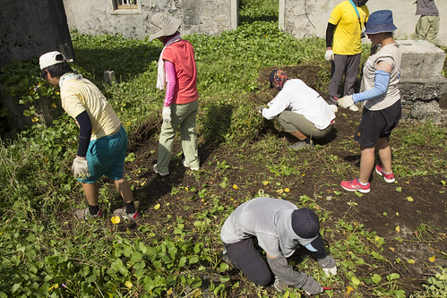 志工努力清除藤蔓復原島上環境。圖片來源：台灣環境資訊協會