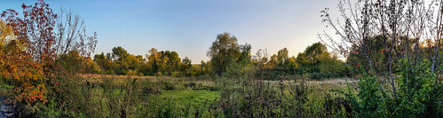 autumn sunset panorama landscape evening meadow siberia samsunggalaxys5
