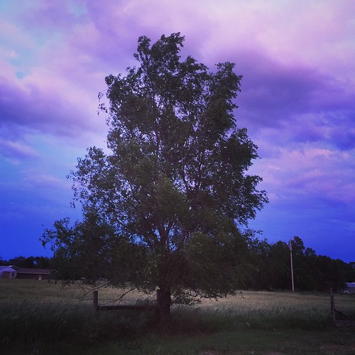 sunset tree nature clouds rural square twilight purple dusk country squareformat mayfair afterrain cloudysky iphoneography instagramapp