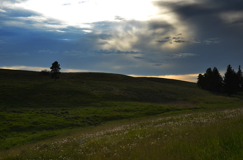 prairie grass cloud landscape アルバータ州 alberta canada カナダ 7月 七月 文月 shichigatsu fumizuki bookmonth 2016 平成28年 summer july