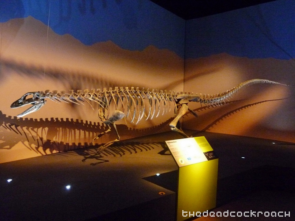 artscience museum, dawn to extinction, dinosaurs, exhibition, marina bay sands, mbs, singapore,sillosuchus