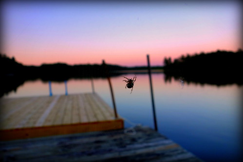 sunset lake nature wisconsin spider dock hayward haywardwi