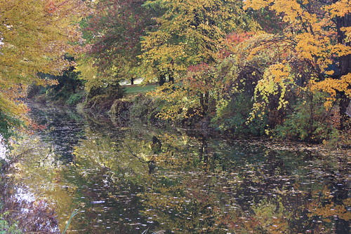 towpath erie canal fayetteville 13057 monet