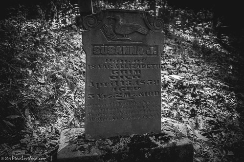 cemetery unitedstates pennsylvania graysville greenecounty ryersonstatepark chesscemetery pineboxtrail