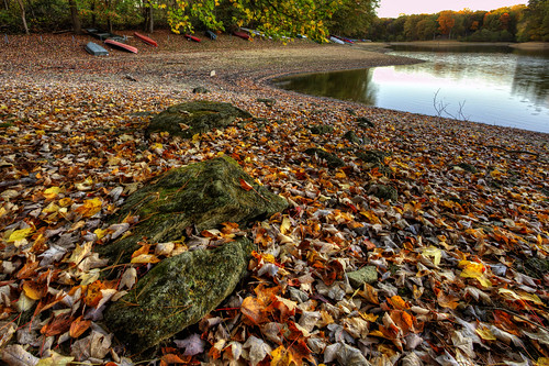 autumn lake color fall leaves landscape boats moss rocks perspective maryland leafscape 2013 scottscove northlaurel
