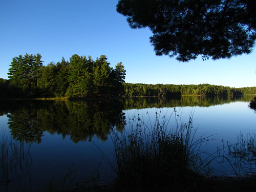 blue camping nature wisconsin reflections fishing pines nicoletnationalforest lauralake