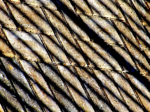 lines pattern shapes diagonal crossing texture concrete conflict opposition slant light rectangle geometric mood emilydickinson poem poetry correlation raleigh northcarolina acertainslantoflight shadows