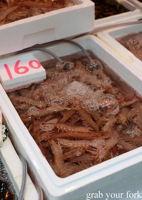 Live prawns at the Gage Street market, Central district, Hong Kong