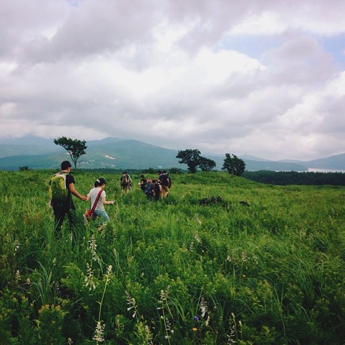 #tbt to our field research on the Nashigahara grasslands