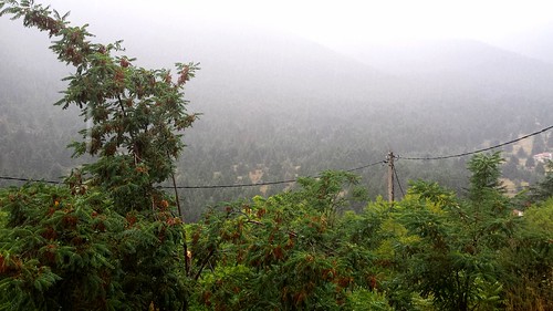 green rain forest landscape samsung greece sakalak σακαλάκ