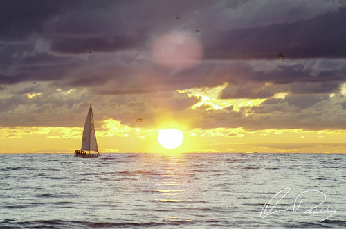 Sailing Into The Sunset