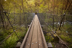 Suspension Bridge, Beedelup Falls, Pemberton, Western Australia