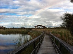 Big Swamp Walk: Rainbow Over Bridge To Lookout