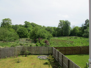 garden 2