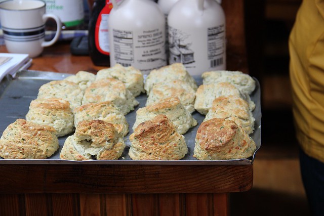 cheese and herb biscuits