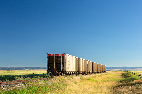 railroad sunlight industry field horizontal rural train wagon landscape countryside vanishingpoint waiting montana colorful industrial day alone mt carriage market empty country transport grain platform tracks engineering rail railway bluesky nobody row cargo junction goods transportation locomotive colourful prairie copyspace shipping distance ore exchange freight boxcars railcars clearsky commodity stockphoto grassy railroadtracks middleofnowhere hoppers sleepers freighttrain cargotrain railroadcars railwaytracks greatplains stockphotography lewistown railwaysleepers railbox agribusiness commodities colorimage wagontrain freightcar coveredhopper rossfork