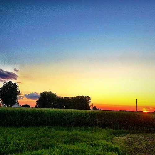 square squareformat cropdusting iphoneography instagramapp aglife