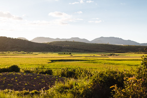 africa sunset 2 field rural landscape iso100 mg april f18 madagascar 2014 moramanga toamasina ••• ef50mmf12lusm ‒²⁄₃ev ¹⁄₄₀₀₀secatf18
