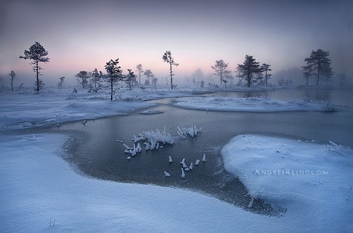 morning trees winter mist snow cold ice fog sunrise frost nordic firstsnow bog snowshoes estonianlandscape andreireinol andreireinolcom