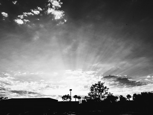 trees sunset sky blackandwhite bw sun clouds skyscape landscape warm god wide wideangle believe impromptu albertsons iphone vsco vscocam