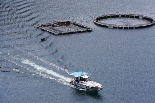 sea landscape countryside boat kyoto tango ine 海 伊根 丹後半島