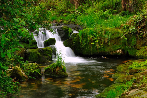 españa verde green fall water río river spain agua plantas asturias bosque calma rocas vegetación cascada charca oneta principadodeasturias efectoseda