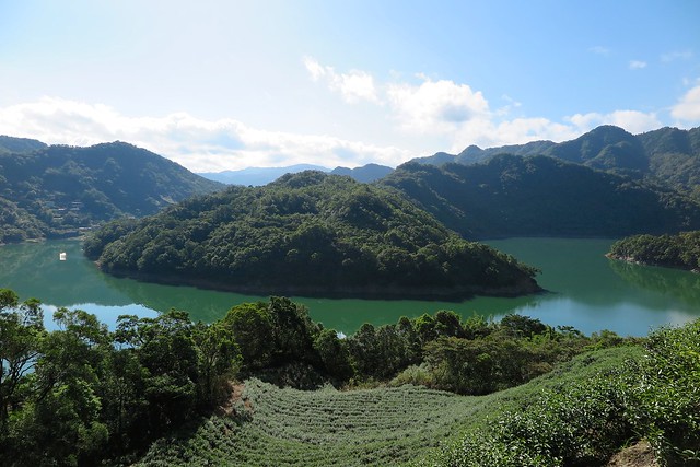 石碇千島湖、八卦茶園、永安觀景步道